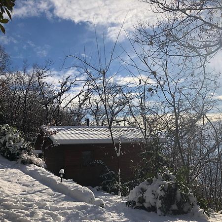 "La Romantica" Rifugio Nel Bosco Astano Buitenkant foto