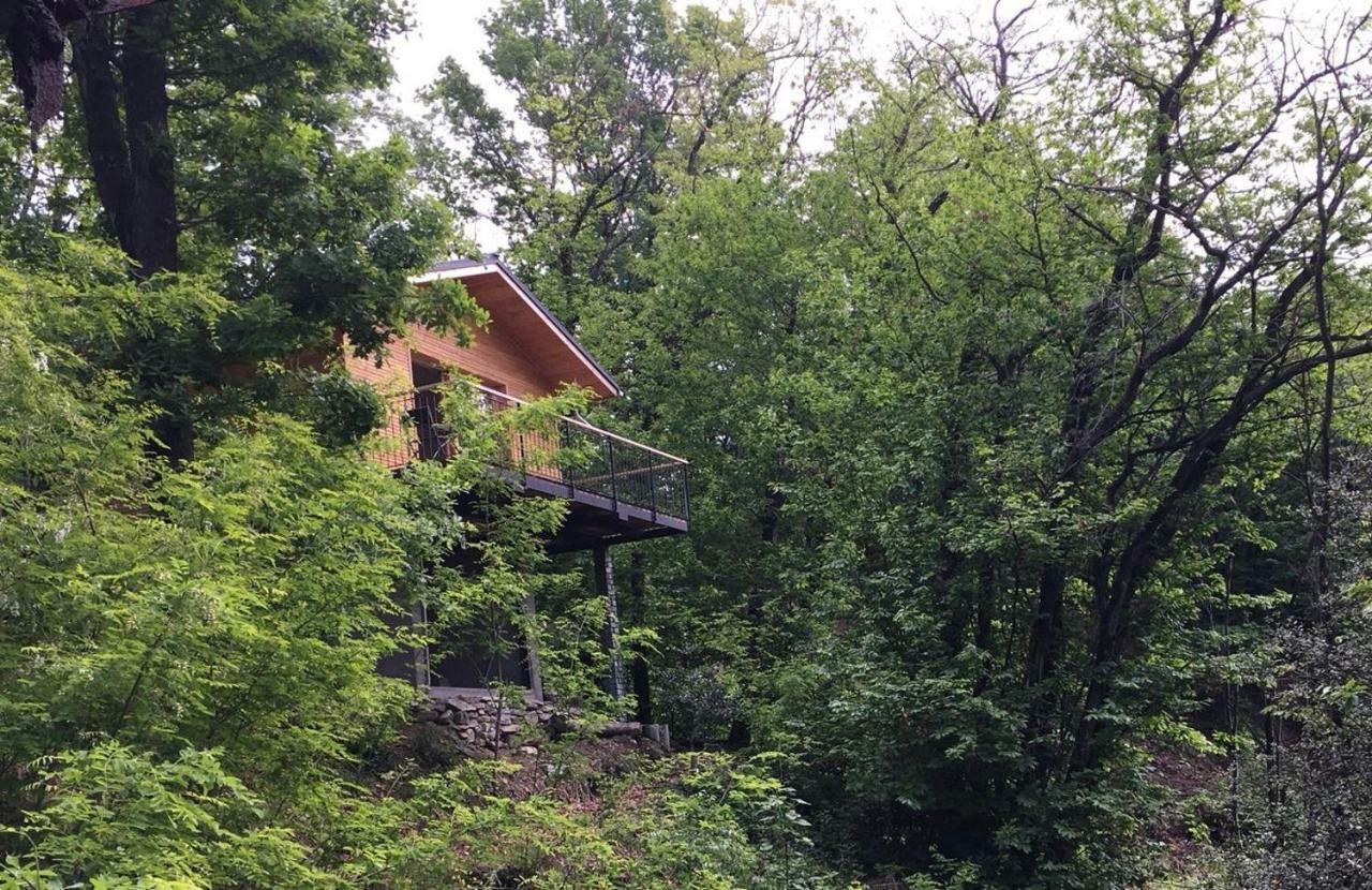 "La Romantica" Rifugio Nel Bosco Astano Buitenkant foto